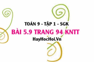 Bài 5.9 Toán 9 tập 1 SGK Kết nối tri thức